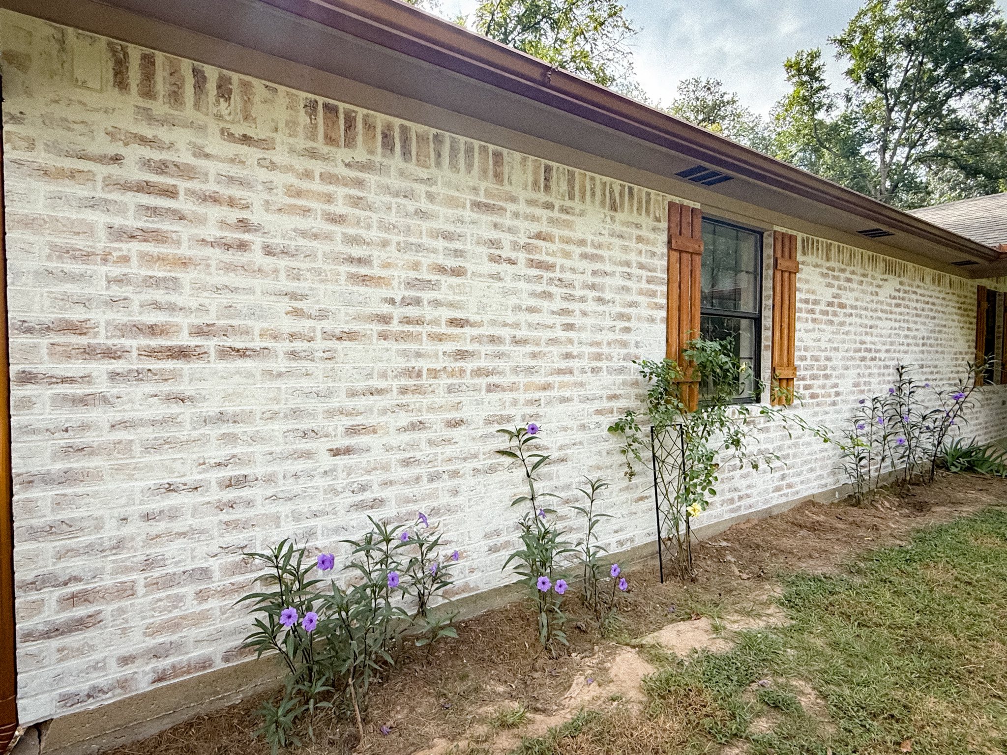 Exterior Project - House